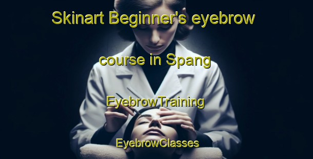 Skinart Beginner's eyebrow course in Spang | EyebrowTraining | EyebrowClasses | SkinartTraining-Denmark