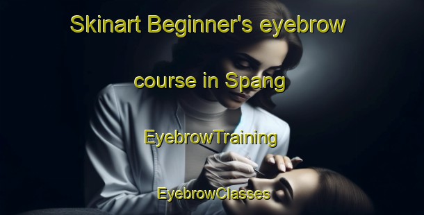 Skinart Beginner's eyebrow course in Spang | EyebrowTraining | EyebrowClasses | SkinartTraining-Denmark
