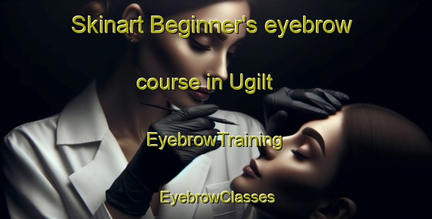 Skinart Beginner's eyebrow course in Ugilt | EyebrowTraining | EyebrowClasses | SkinartTraining-Denmark