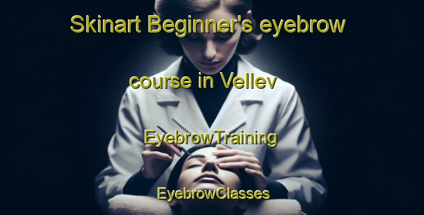Skinart Beginner's eyebrow course in Vellev | EyebrowTraining | EyebrowClasses | SkinartTraining-Denmark