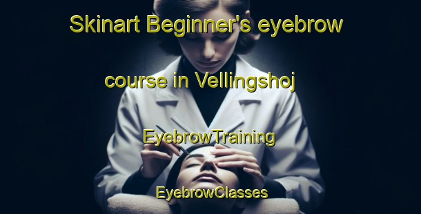 Skinart Beginner's eyebrow course in Vellingshoj | EyebrowTraining | EyebrowClasses | SkinartTraining-Denmark
