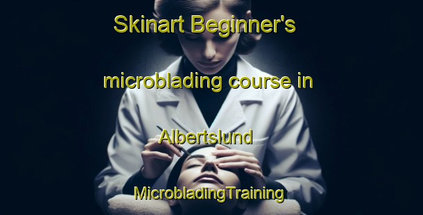 Skinart Beginner's microblading course in Albertslund | #MicrobladingTraining #MicrobladingClasses #SkinartTraining-Denmark