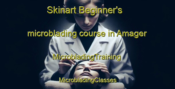 Skinart Beginner's microblading course in Amager | #MicrobladingTraining #MicrobladingClasses #SkinartTraining-Denmark