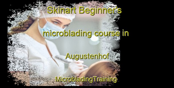 Skinart Beginner's microblading course in Augustenhof | #MicrobladingTraining #MicrobladingClasses #SkinartTraining-Denmark