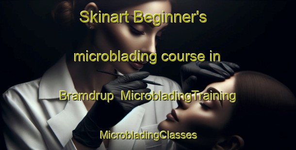 Skinart Beginner's microblading course in Bramdrup | #MicrobladingTraining #MicrobladingClasses #SkinartTraining-Denmark