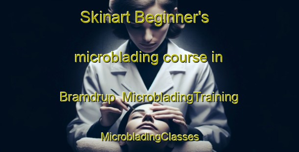 Skinart Beginner's microblading course in Bramdrup | #MicrobladingTraining #MicrobladingClasses #SkinartTraining-Denmark