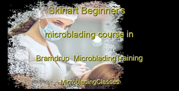 Skinart Beginner's microblading course in Bramdrup | #MicrobladingTraining #MicrobladingClasses #SkinartTraining-Denmark