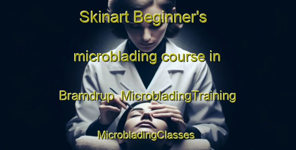 Skinart Beginner's microblading course in Bramdrup | MicrobladingTraining | MicrobladingClasses | SkinartTraining-Denmark