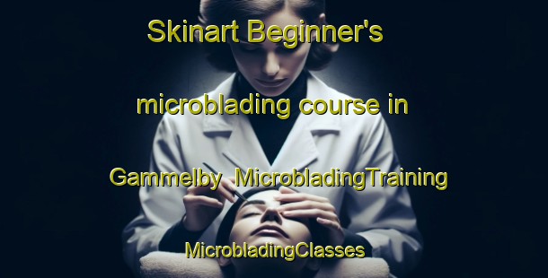 Skinart Beginner's microblading course in Gammelby | #MicrobladingTraining #MicrobladingClasses #SkinartTraining-Denmark