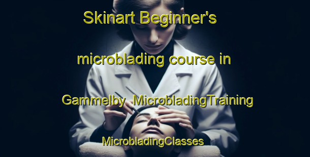 Skinart Beginner's microblading course in Gammelby | MicrobladingTraining | MicrobladingClasses | SkinartTraining-Denmark