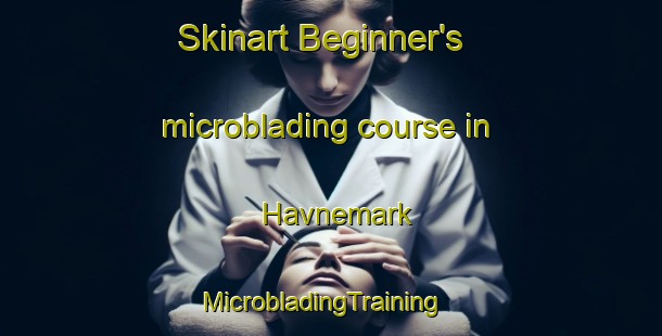 Skinart Beginner's microblading course in Havnemark | MicrobladingTraining | MicrobladingClasses | SkinartTraining-Denmark