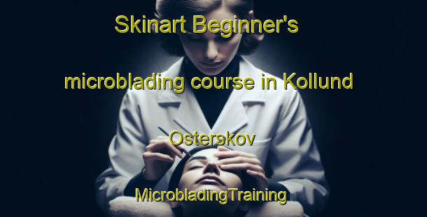 Skinart Beginner's microblading course in Kollund Osterskov | #MicrobladingTraining #MicrobladingClasses #SkinartTraining-Denmark