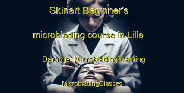 Skinart Beginner's microblading course in Lille Damme | #MicrobladingTraining #MicrobladingClasses #SkinartTraining-Denmark