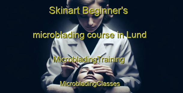 Skinart Beginner's microblading course in Lund | MicrobladingTraining | MicrobladingClasses | SkinartTraining-Denmark
