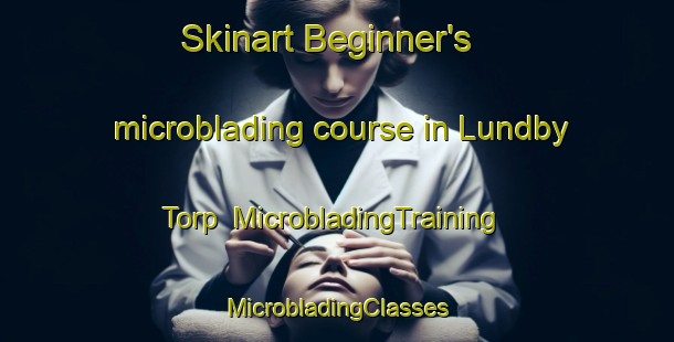 Skinart Beginner's microblading course in Lundby Torp | #MicrobladingTraining #MicrobladingClasses #SkinartTraining-Denmark