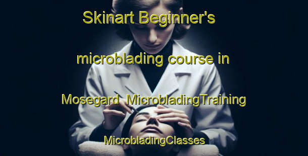 Skinart Beginner's microblading course in Mosegard | #MicrobladingTraining #MicrobladingClasses #SkinartTraining-Denmark