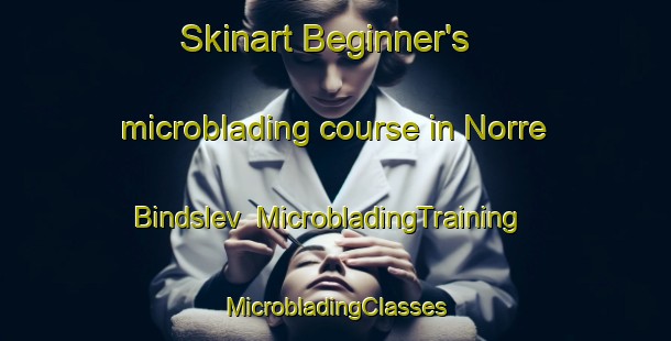 Skinart Beginner's microblading course in Norre Bindslev | #MicrobladingTraining #MicrobladingClasses #SkinartTraining-Denmark