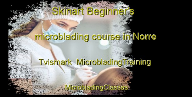 Skinart Beginner's microblading course in Norre Tvismark | #MicrobladingTraining #MicrobladingClasses #SkinartTraining-Denmark