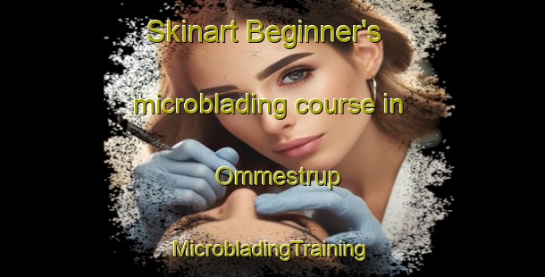 Skinart Beginner's microblading course in Ommestrup | #MicrobladingTraining #MicrobladingClasses #SkinartTraining-Denmark