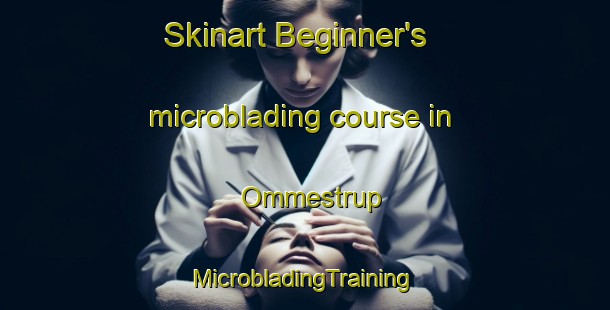 Skinart Beginner's microblading course in Ommestrup | #MicrobladingTraining #MicrobladingClasses #SkinartTraining-Denmark