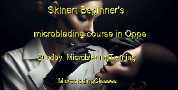 Skinart Beginner's microblading course in Oppe Sundby | MicrobladingTraining | MicrobladingClasses | SkinartTraining-Denmark