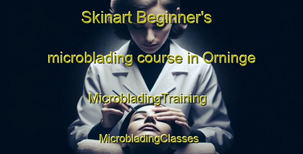 Skinart Beginner's microblading course in Orninge | MicrobladingTraining | MicrobladingClasses | SkinartTraining-Denmark