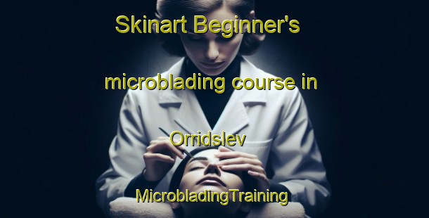 Skinart Beginner's microblading course in Orridslev | #MicrobladingTraining #MicrobladingClasses #SkinartTraining-Denmark