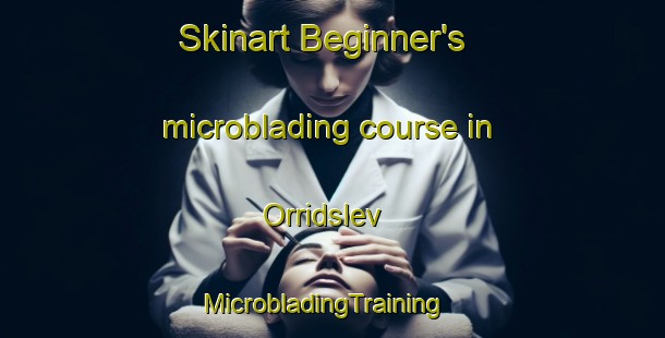 Skinart Beginner's microblading course in Orridslev | MicrobladingTraining | MicrobladingClasses | SkinartTraining-Denmark
