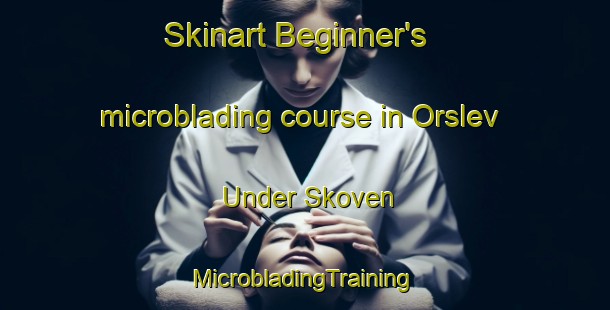 Skinart Beginner's microblading course in Orslev Under Skoven | #MicrobladingTraining #MicrobladingClasses #SkinartTraining-Denmark