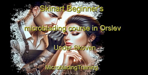Skinart Beginner's microblading course in Orslev Under Skoven | MicrobladingTraining | MicrobladingClasses | SkinartTraining-Denmark