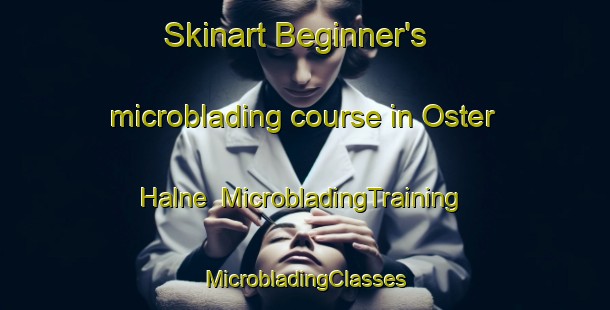 Skinart Beginner's microblading course in Oster Halne | #MicrobladingTraining #MicrobladingClasses #SkinartTraining-Denmark