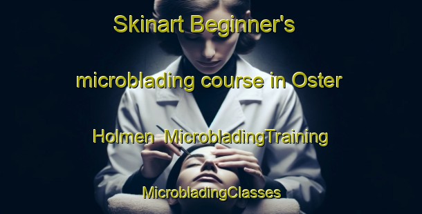 Skinart Beginner's microblading course in Oster Holmen | #MicrobladingTraining #MicrobladingClasses #SkinartTraining-Denmark