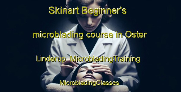 Skinart Beginner's microblading course in Oster Linderup | MicrobladingTraining | MicrobladingClasses | SkinartTraining-Denmark