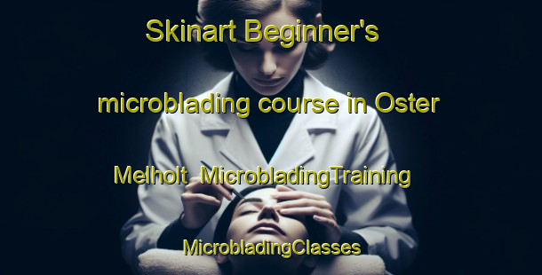 Skinart Beginner's microblading course in Oster Melholt | #MicrobladingTraining #MicrobladingClasses #SkinartTraining-Denmark