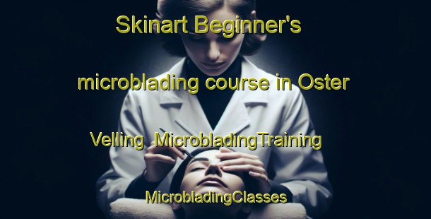 Skinart Beginner's microblading course in Oster Velling | #MicrobladingTraining #MicrobladingClasses #SkinartTraining-Denmark