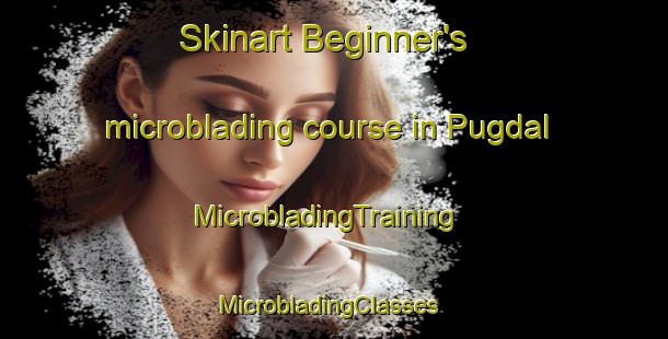 Skinart Beginner's microblading course in Pugdal | MicrobladingTraining | MicrobladingClasses | SkinartTraining-Denmark
