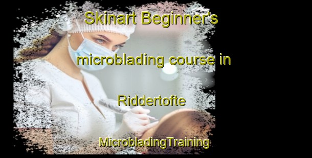 Skinart Beginner's microblading course in Riddertofte | #MicrobladingTraining #MicrobladingClasses #SkinartTraining-Denmark