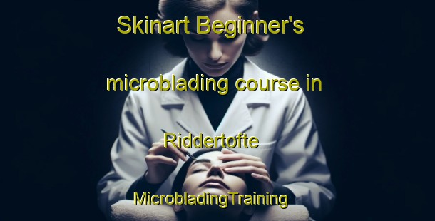 Skinart Beginner's microblading course in Riddertofte | MicrobladingTraining | MicrobladingClasses | SkinartTraining-Denmark