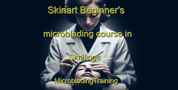 Skinart Beginner's microblading course in Skrillinge | MicrobladingTraining | MicrobladingClasses | SkinartTraining-Denmark