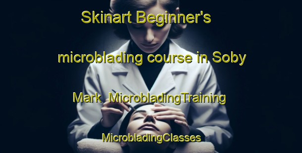 Skinart Beginner's microblading course in Soby Mark | #MicrobladingTraining #MicrobladingClasses #SkinartTraining-Denmark