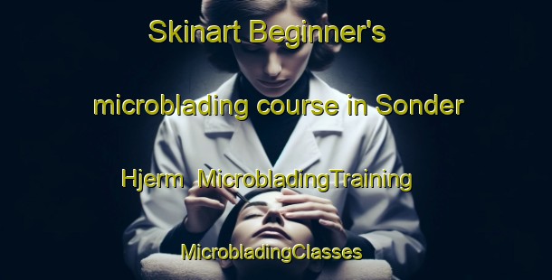 Skinart Beginner's microblading course in Sonder Hjerm | MicrobladingTraining | MicrobladingClasses | SkinartTraining-Denmark
