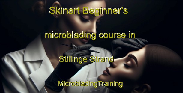 Skinart Beginner's microblading course in Stillinge Strand | #MicrobladingTraining #MicrobladingClasses #SkinartTraining-Denmark