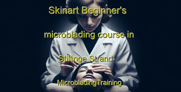 Skinart Beginner's microblading course in Stillinge Strand | #MicrobladingTraining #MicrobladingClasses #SkinartTraining-Denmark