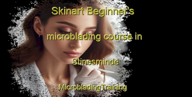 Skinart Beginner's microblading course in Stinesminde | MicrobladingTraining | MicrobladingClasses | SkinartTraining-Denmark