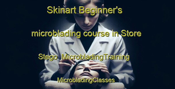Skinart Beginner's microblading course in Store Stego | MicrobladingTraining | MicrobladingClasses | SkinartTraining-Denmark