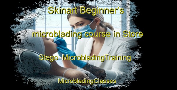 Skinart Beginner's microblading course in Store Stego | MicrobladingTraining | MicrobladingClasses | SkinartTraining-Denmark