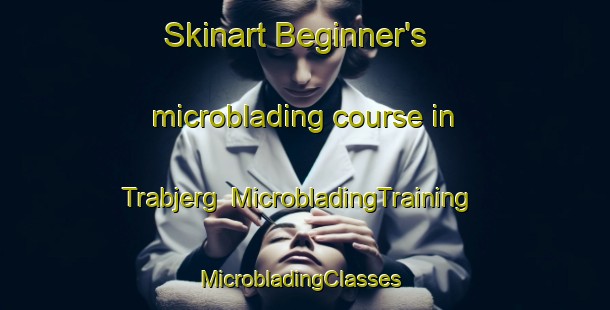 Skinart Beginner's microblading course in Trabjerg | MicrobladingTraining | MicrobladingClasses | SkinartTraining-Denmark