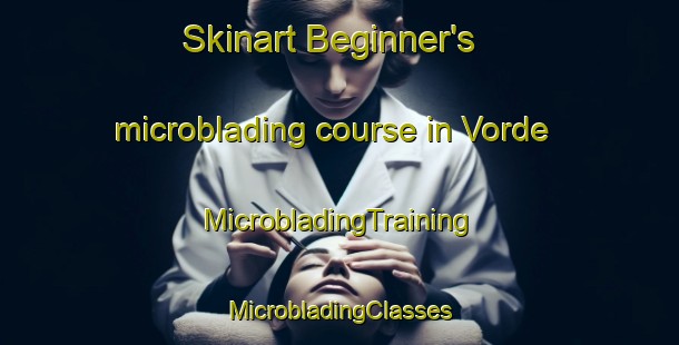 Skinart Beginner's microblading course in Vorde | #MicrobladingTraining #MicrobladingClasses #SkinartTraining-Denmark