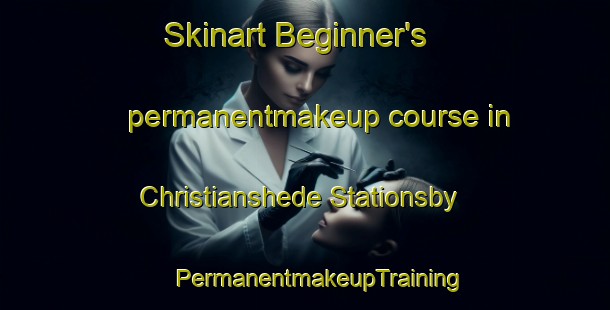 Skinart Beginner's permanentmakeup course in Christianshede Stationsby | #PermanentmakeupTraining #PermanentmakeupClasses #SkinartTraining-Denmark