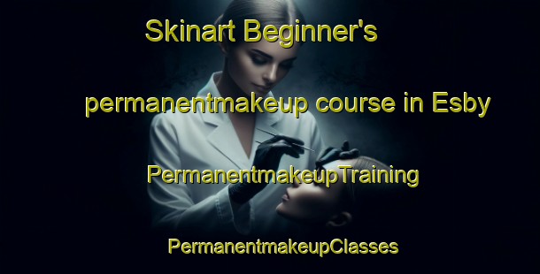 Skinart Beginner's permanentmakeup course in Esby | #PermanentmakeupTraining #PermanentmakeupClasses #SkinartTraining-Denmark